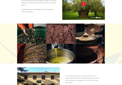 Pagina di Frantoio Olive Ossani - Sito realizzato da Progetto Aroma